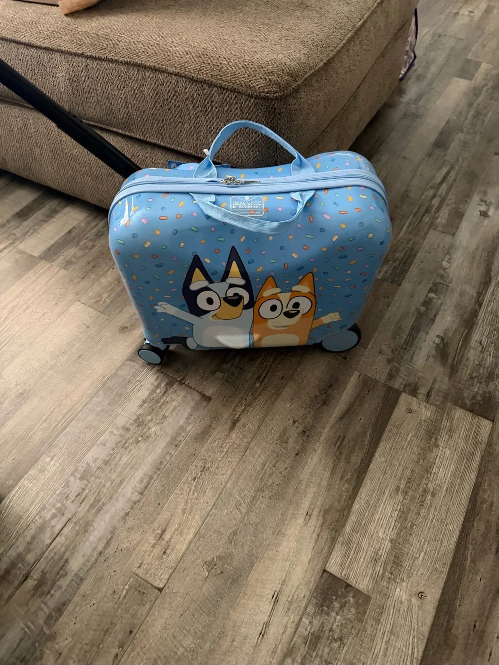 Bluey and Bingo Kids Hardside Ride-on Spinner Suitcase Luggage